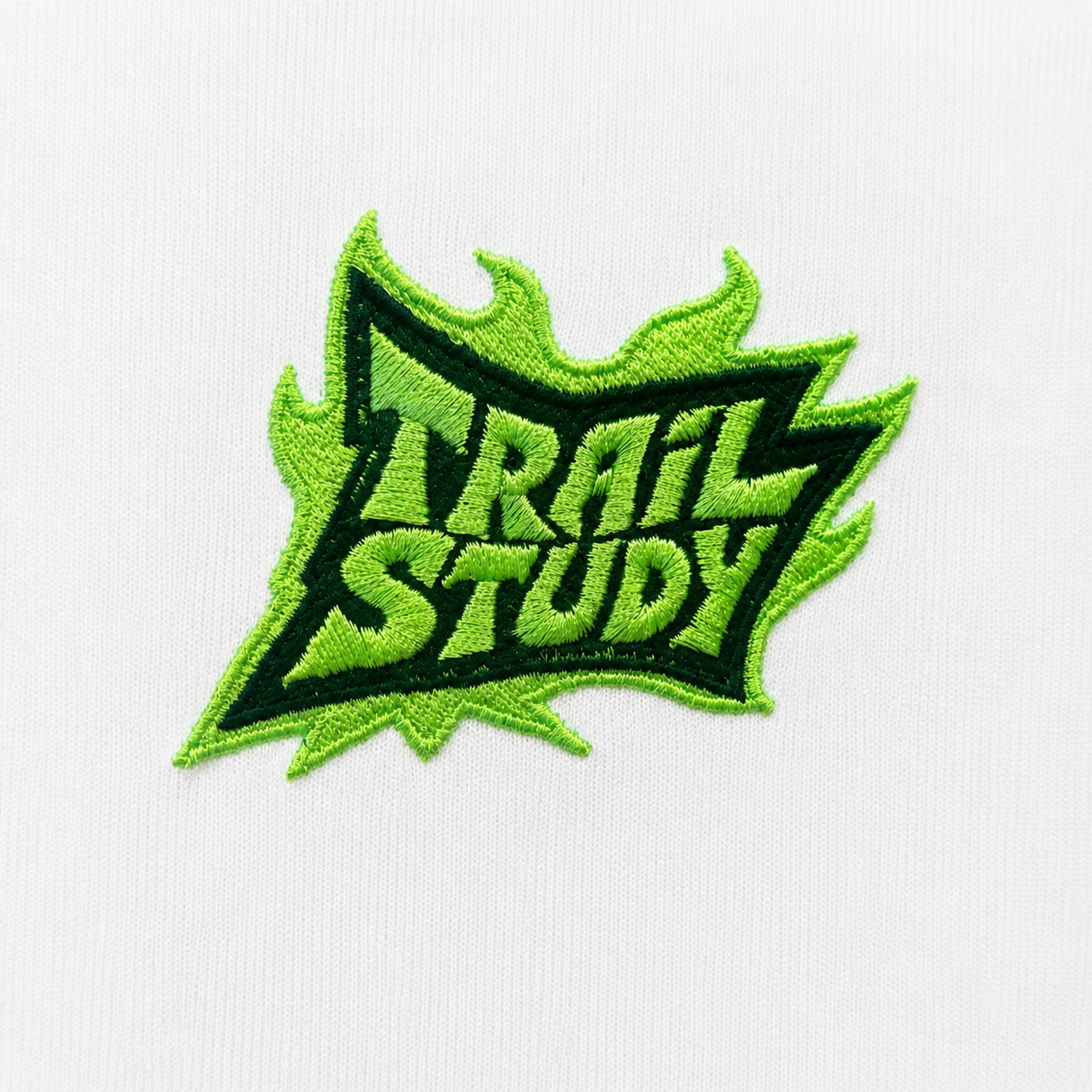 Trail Study Graphic Embroidered Oversized T-Shirt – White