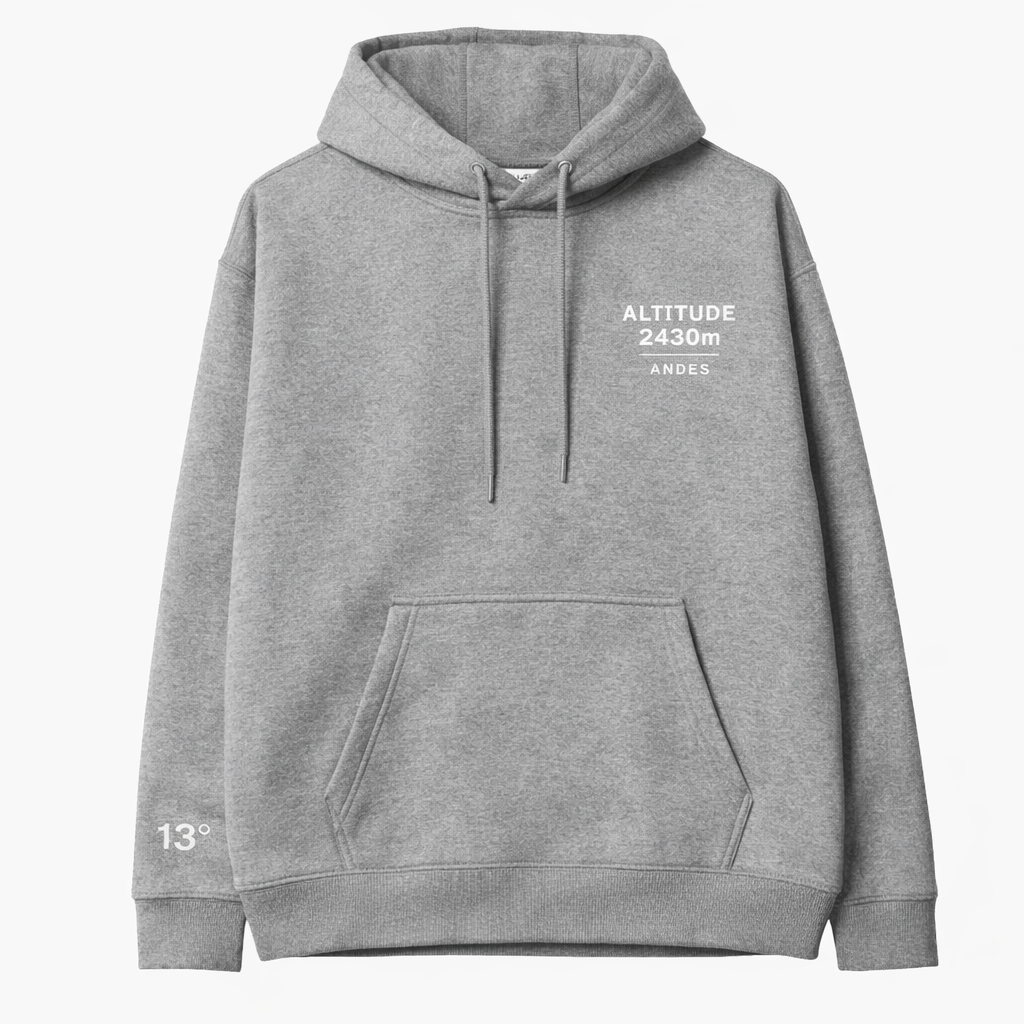 ALTITUDE ERROR SACRED VALLEY HOODIE