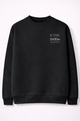 ALTITUDE ERROR SACRED VALLEY HOODIE