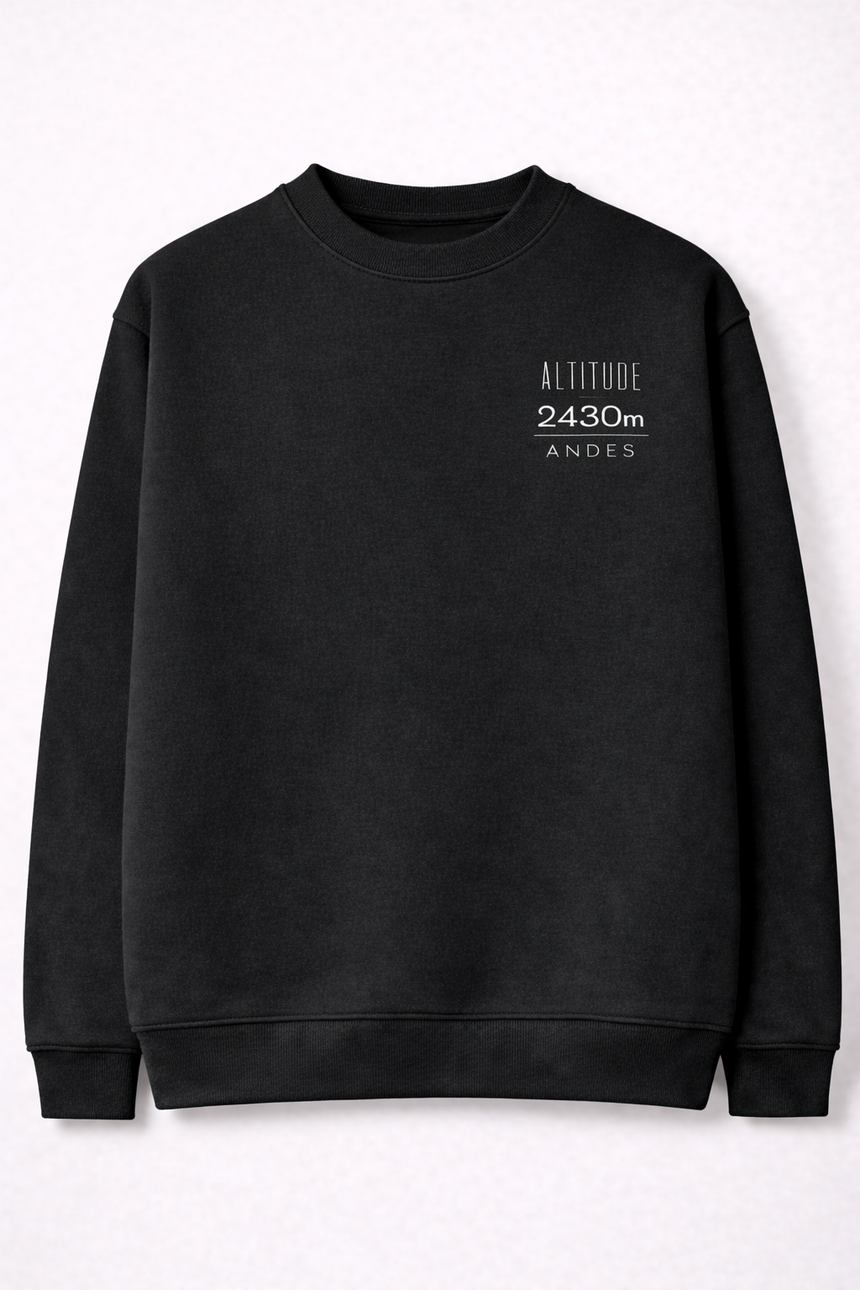 De La Forme ALTITUDE ERROR SACRED VALLEY HOODIE