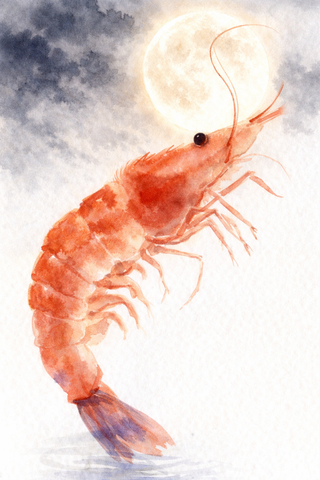Moonlit Shrimp — Eastern Watercolor Graphic Oversized T-Shirt