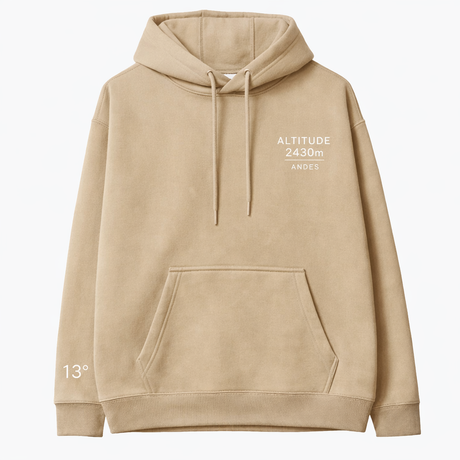 ALTITUDE ERROR SACRED VALLEY HOODIE