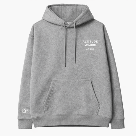 ALTITUDE ERROR SACRED VALLEY HOODIE